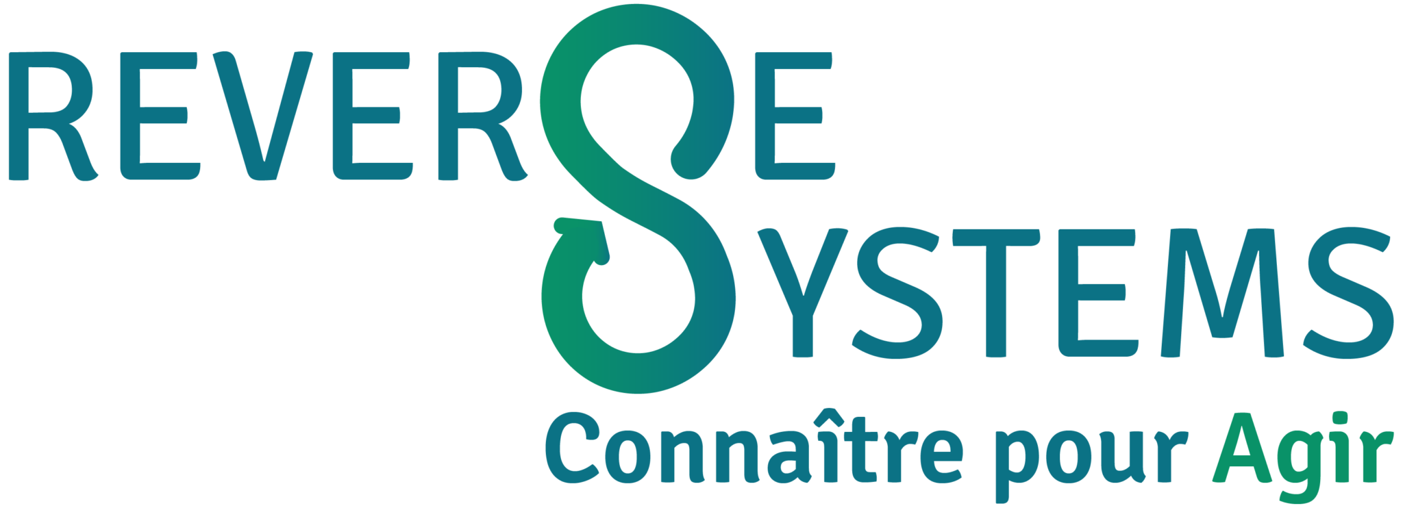 Logo de Reverse Systems